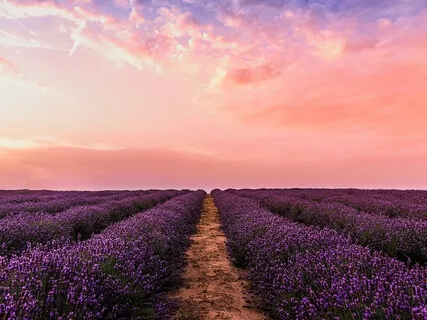 Relaxing Music For Studying | Music To Chill Out