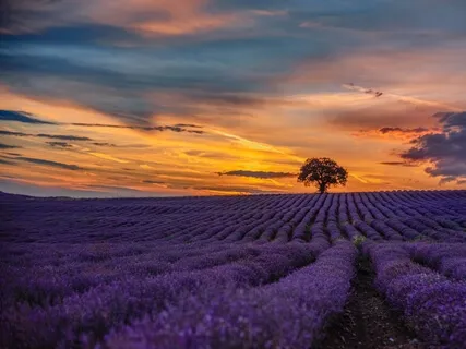 Relaxing Music For Your Deep Sleep And Pure Mind