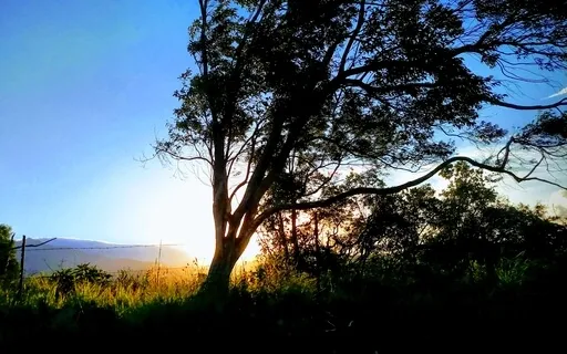 Relaxing Music "Morning Meditation" Tongue Drum/Crystal Bowl