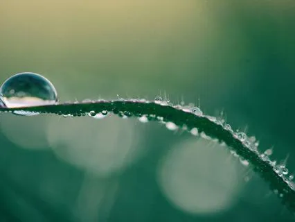 Relaxing Music Nerv Reset