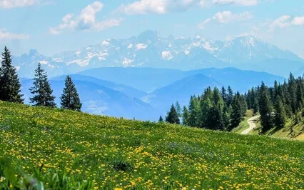 Relaxing Music With Nature Sounds