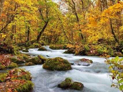 Relaxing Native American Style Flute & Harp Soundscape