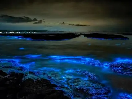 Relaxing Ocean Waves for Deep Sleep • 10 Hours