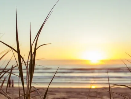Relaxing On The Beach