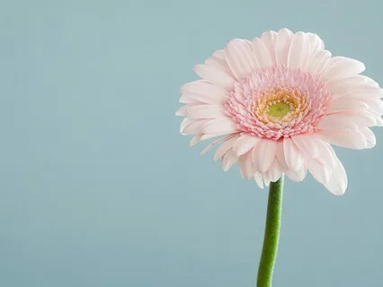 Relaxing Our Resistance