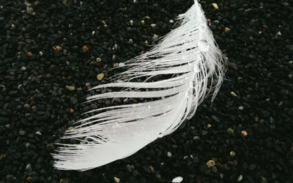 Relaxing Peaceful Presence To Sleep Well