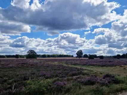 Relaxing Piano Chill Music For Meditation