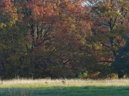 Relaxing Piano For Stress Relief, Meditation and Calm