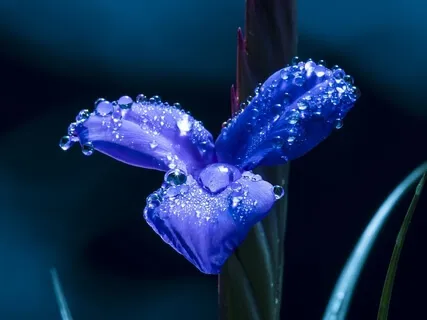 Relaxing Piano Improvisation 100