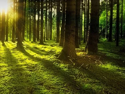 Relaxing Piano Improvisation 102