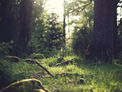 Relaxing Piano Improvisation 116