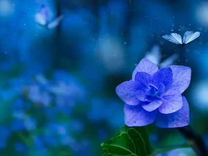 Relaxing Piano Improvisation 117