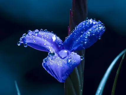 Relaxing Piano Improvisation 120