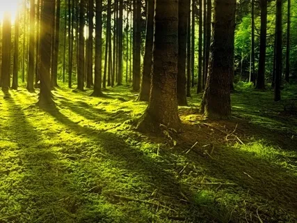 Relaxing Piano Improvisation 122