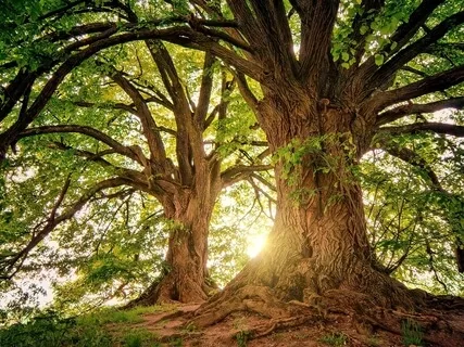 Relaxing Piano Improvisation 123