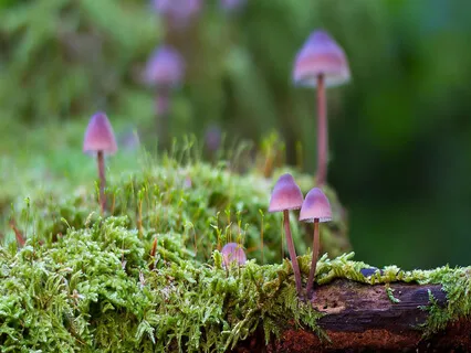 Relaxing Piano Improvisation 129