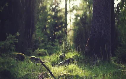 Relaxing Piano Improvisation 133