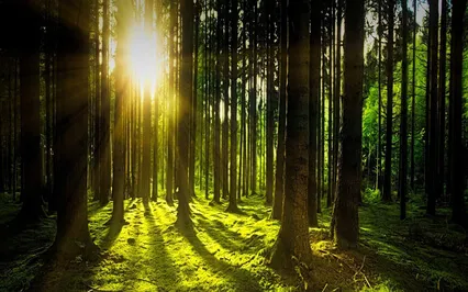 Relaxing Piano Improvisation 135