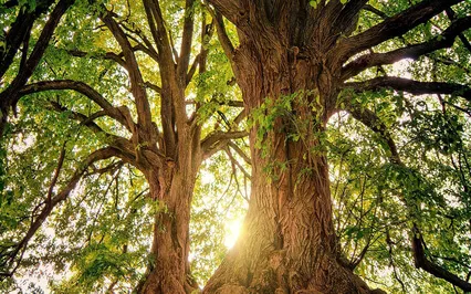 Relaxing Piano Improvisation 136