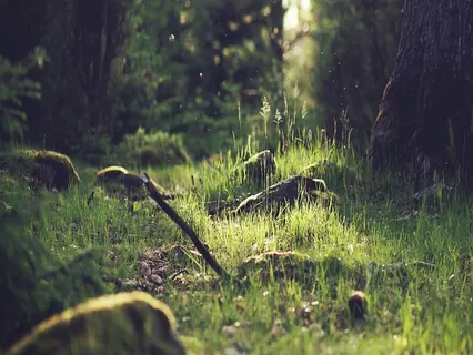 Relaxing Piano Improvisation 147