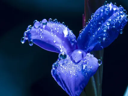 Relaxing Piano Improvisation 151