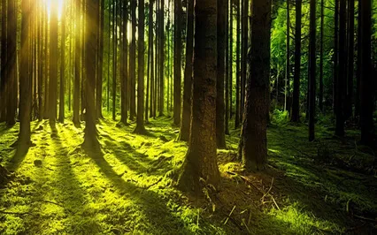 Relaxing Piano Improvisation 153