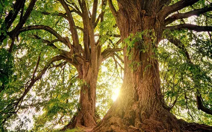 Relaxing Piano Improvisation 154