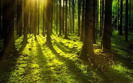 Relaxing Piano Improvisation 168