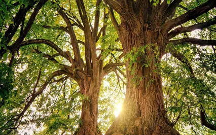 Relaxing Piano Improvisation 169