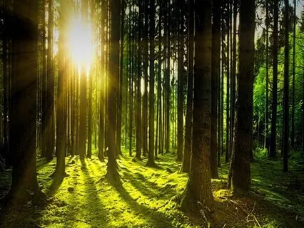 Relaxing Piano Improvisation 188