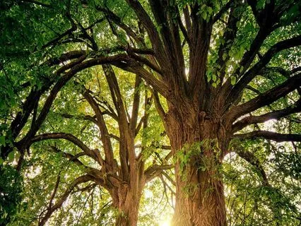 Relaxing Piano Improvisation 189