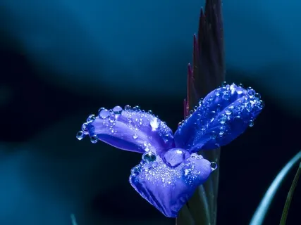 Relaxing Piano Improvisation 29