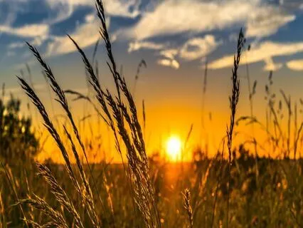 Relaxing Piano Improvisation 367