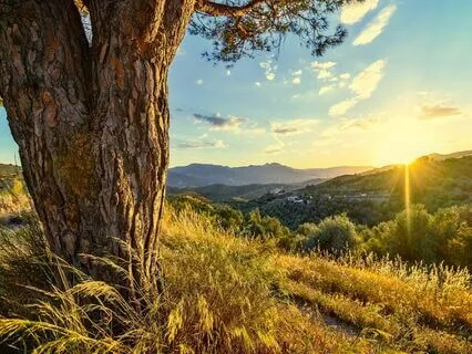 Relaxing Piano Improvisation 385