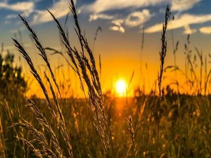 Relaxing Piano Improvisation 394