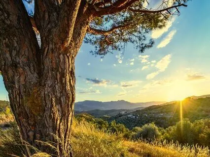 Relaxing Piano Improvisation 399