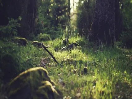 Relaxing Piano Improvisation 421