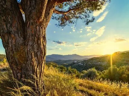 Relaxing Piano Improvisation 428