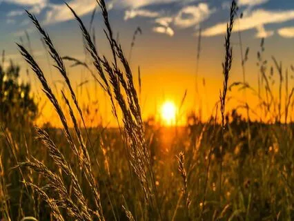 Relaxing Piano Improvisation 438