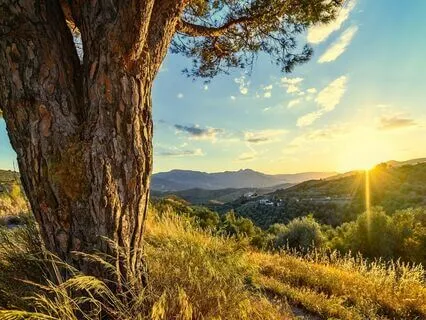 Relaxing Piano Improvisation 443