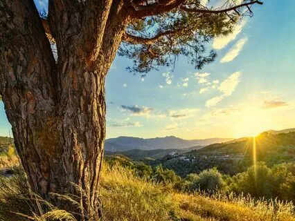 Relaxing Piano Improvisation 458