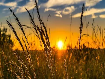 Relaxing Piano Improvisation 470