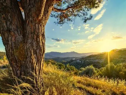 Relaxing Piano Improvisation 476