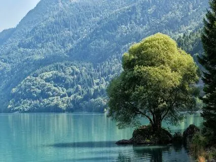 Relaxing Piano Improvisation 483