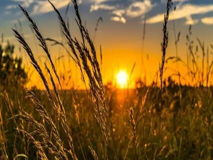 Relaxing Piano Improvisation 488