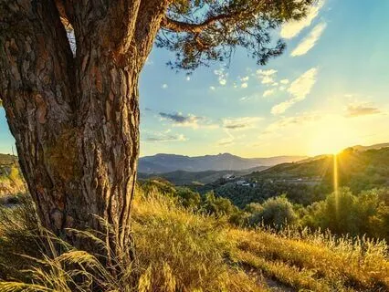 Relaxing Piano Improvisation 493