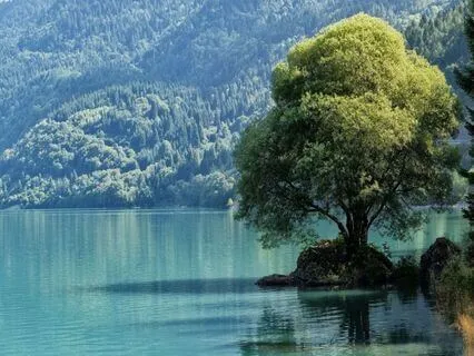 Relaxing Piano Improvisation 501