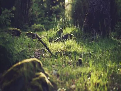 Relaxing Piano Improvisation 505