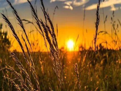 Relaxing Piano Improvisation 507