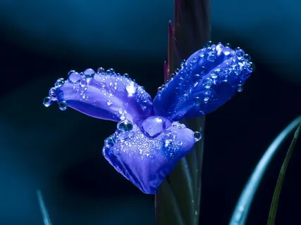 Relaxing Piano Improvisation 53